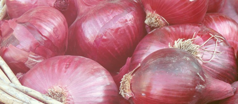 haretra gnec accuan mal suada seren.