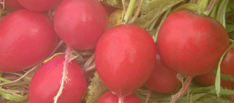 Sugimale ada odi dio gra.